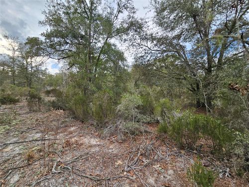 10350 Ne 97th Pl, Archer, FL, 32618-7298 | Card Image