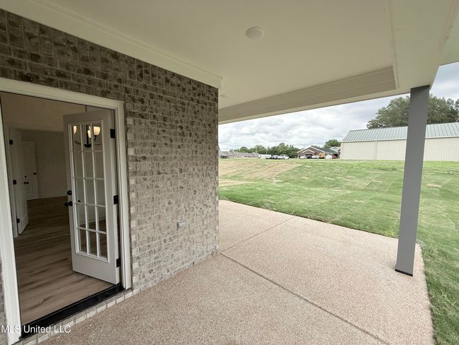Panola | Image 27