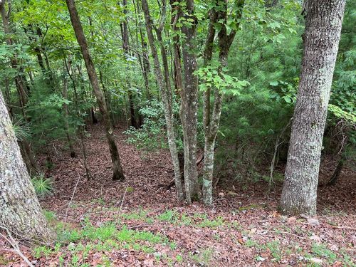 167 Tara Dr, Ellijay, GA, 30540-5819 | Card Image