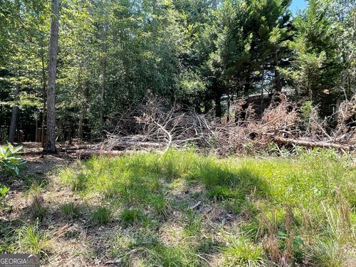 LOT 4 Big Water Cir, Hartwell, GA, 30643 | Card Image