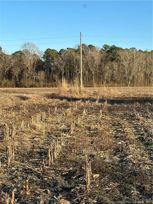 473 Costner Rd, Lumber Bridge, NC, 28357 | Card Image