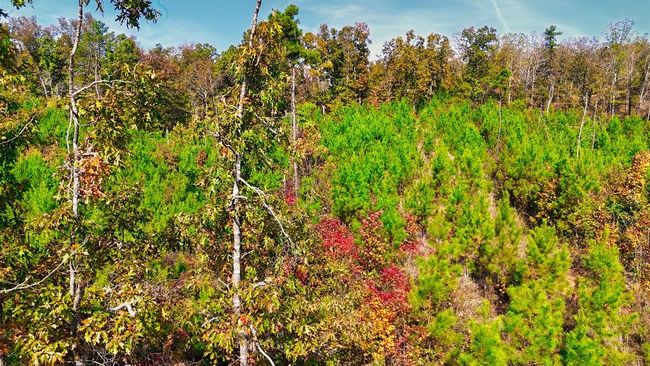 4 Ferrell Rd, Home with 0 bedrooms, 0 bathrooms and null parking in Middleton TN | Image 8