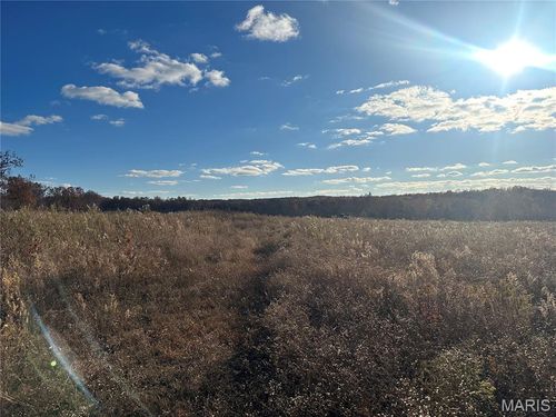 11918 Spring Town Rd, Mineral Point, MO, 63660-9225 | Card Image