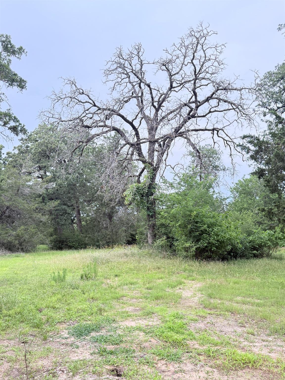 Land in Bryan 2