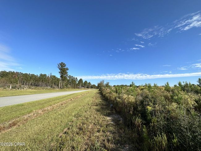 2332-AC - Tract#6201 W Co Hwy 181 Nat B 01, Home with 0 bedrooms, 0 bathrooms and null parking in Defuniak Springs FL | Image 6