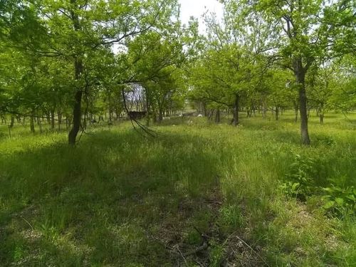 1209 County Road 416, Comanche, TX, 76442-4649 | Card Image