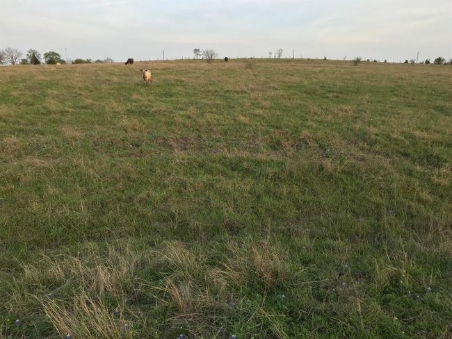 5796 Hurtig Rd, Home with 0 bedrooms, 0 bathrooms and null parking in Bleiblerville TX | Image 17