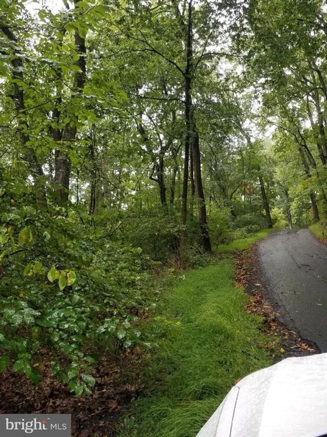 Lot 094 Fireline Rd, Home with 0 bedrooms, 0 bathrooms and null parking in KINTNERSVILLE PA | Image 4