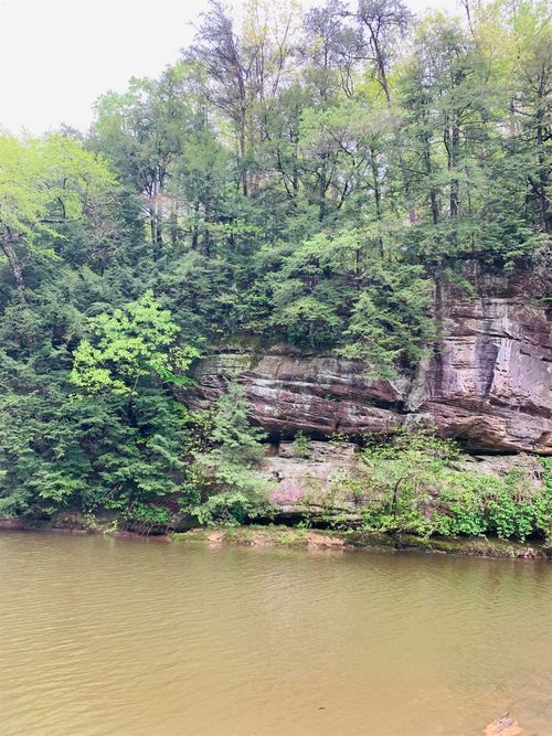 0 Highway 81, Phil Campbell, AL, 35581 | Card Image