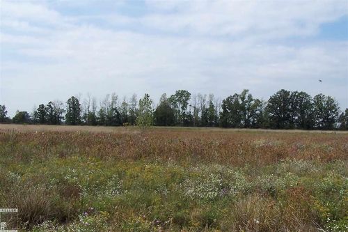 Parcel "I-1" Ray, Imlay Township, MI, 48444 | Card Image
