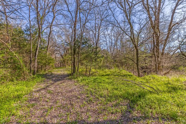 Tract 5 Private Road 6040, Home with 0 bedrooms, 0 bathrooms and null parking in Blue Ridge TX | Image 12