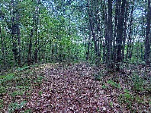 251 Phillips Hill Rd, Jacksonville, VT, 05342 | Card Image