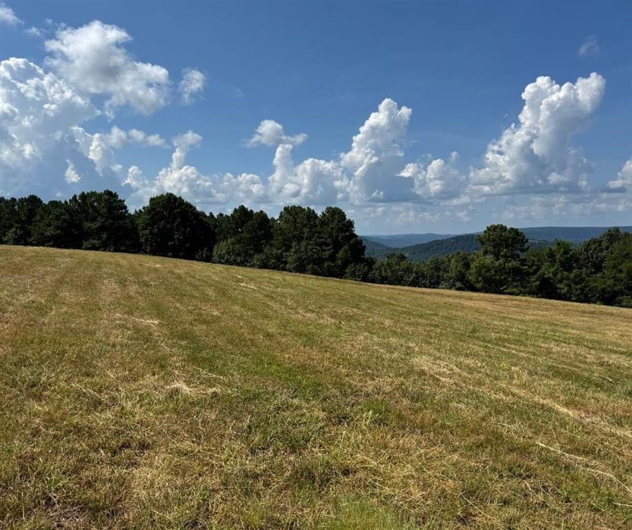 Land in Mount Judea