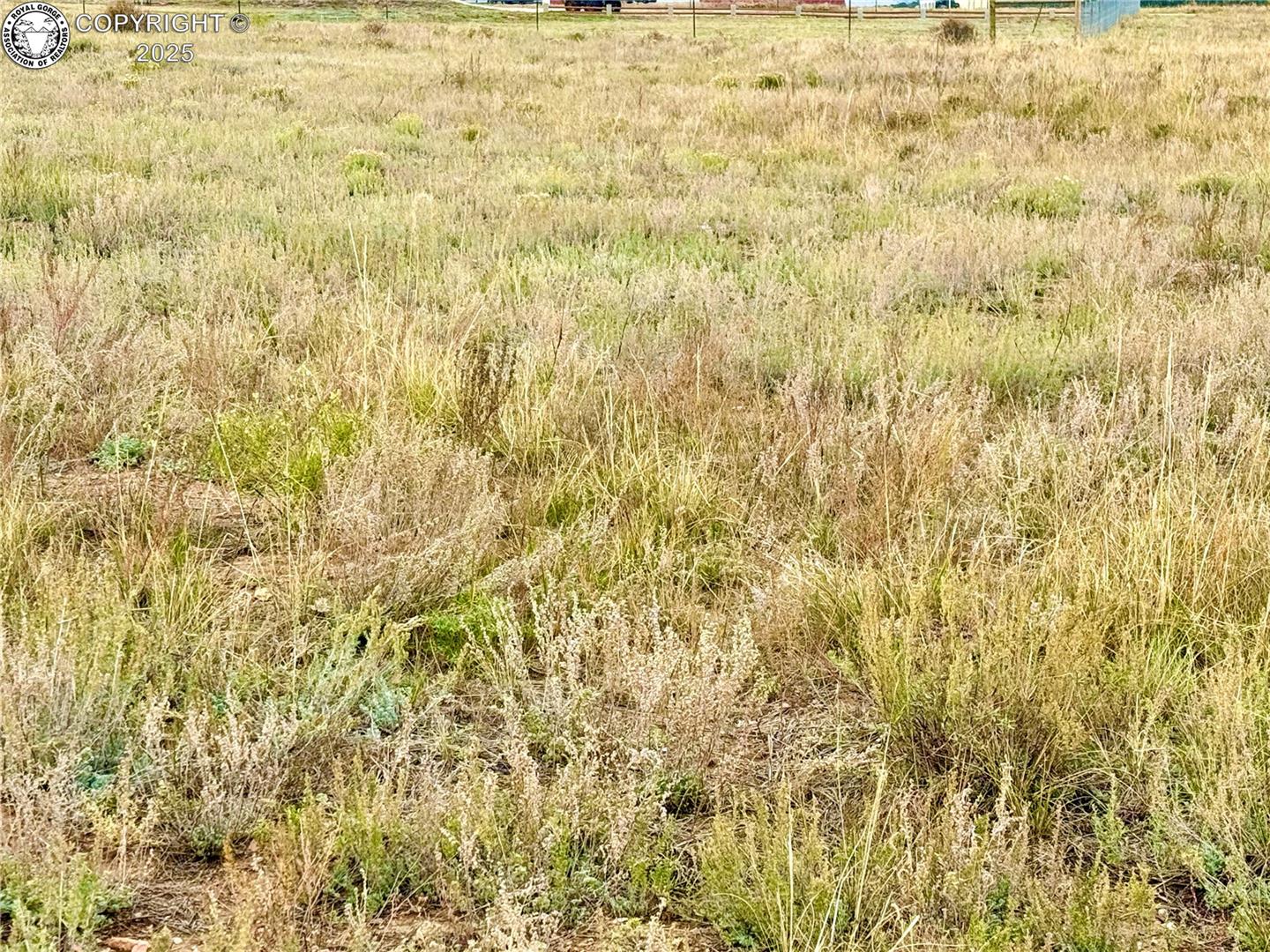 Land in Westcliffe 5
