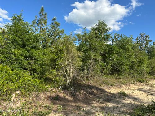 lot-16-and-17-0000 Nw Lakeside Dr, Altha, FL, 32421 | Card Image