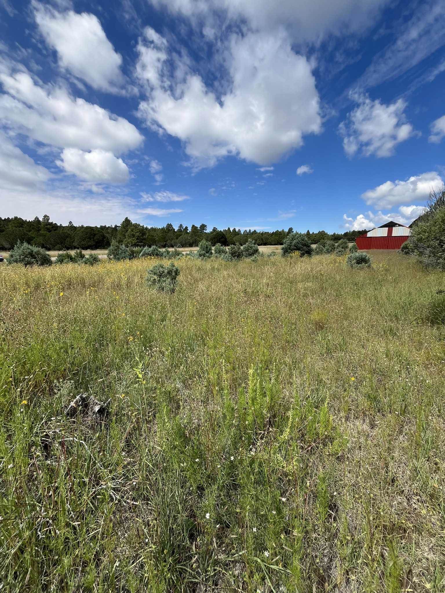 Land in Timberon