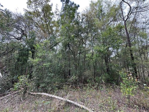 tbd Ne 154th Ter, WILLISTON, FL, 32696 | Card Image