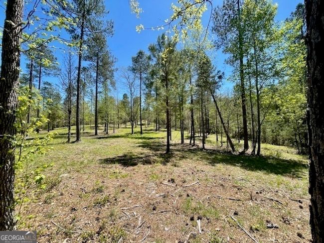 1276 Hornets Bridge Rd, Home with 0 bedrooms, 0 bathrooms and null parking in Elberton GA | Image 14