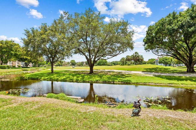 APT-107 - 9481 Evergreen Pl, Condo with 2 bedrooms, 2 bathrooms and null parking in Davie FL | Image 13