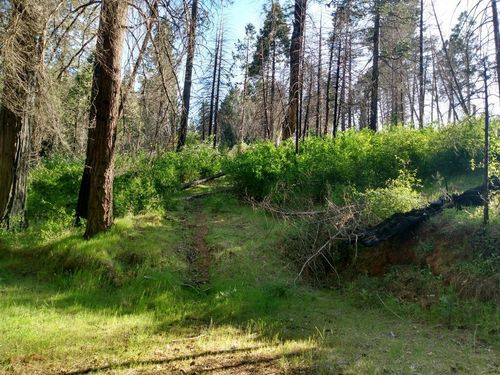 0 Shadow Pine Road, Mountain Ranch, CA, 95246 | Card Image