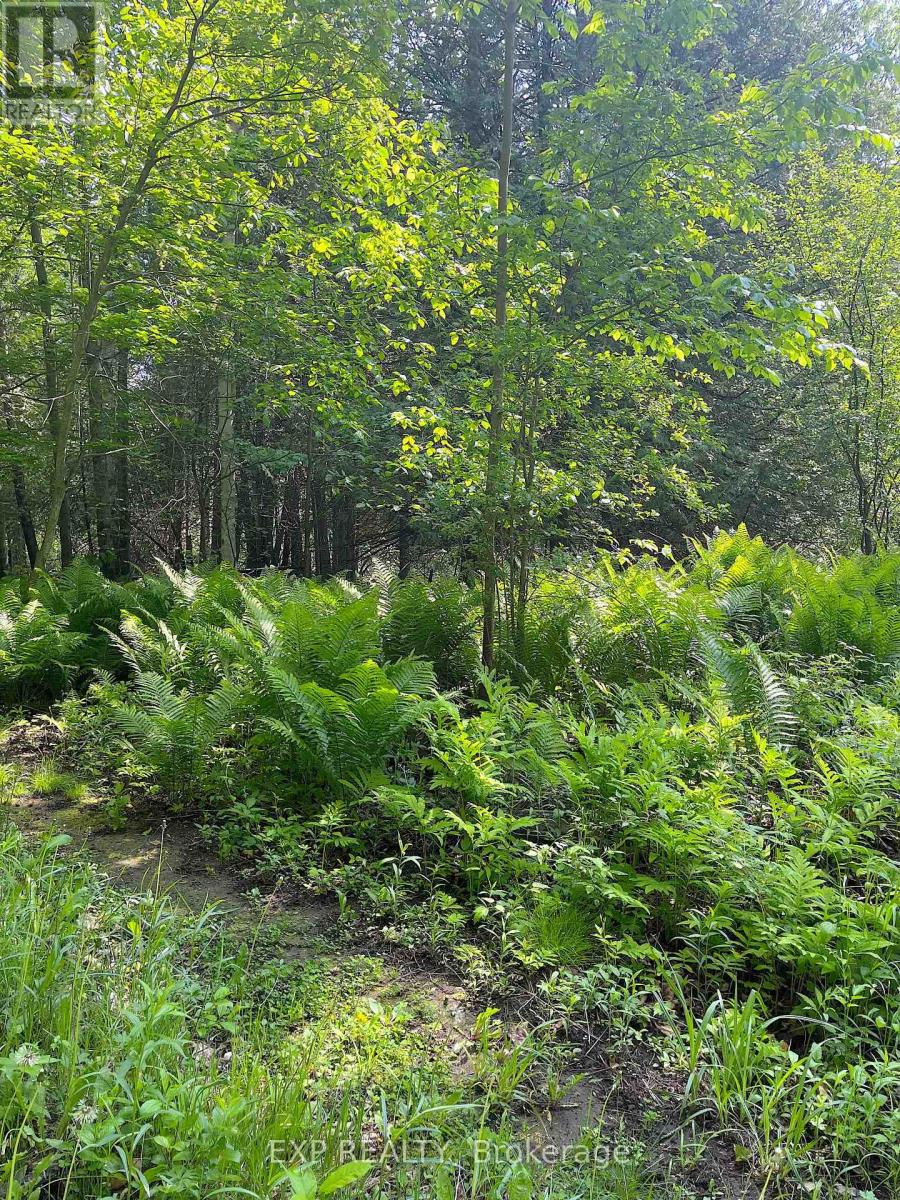 Land in Horton 2