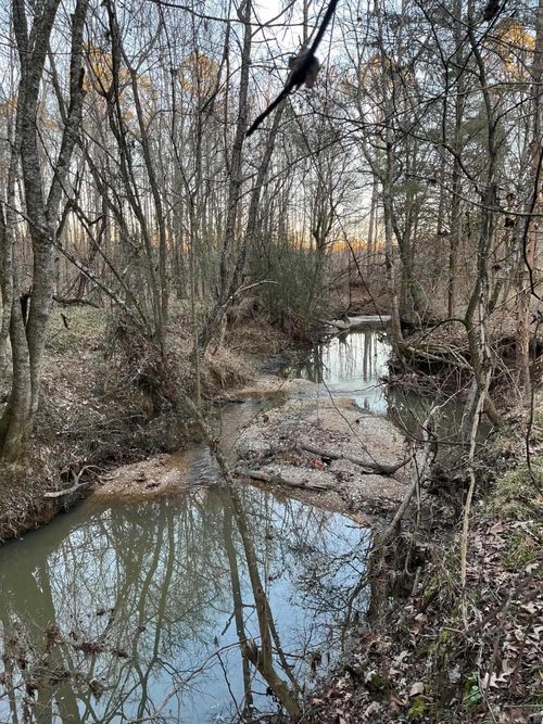 0 Brice Horton Rd, Delight, AR, 71940 | Card Image