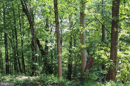 1507 Summit Dr, HAYMARKET, VA, 20169-1319 | Card Image