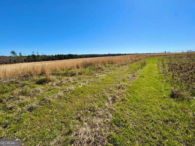 2819 Stripling Rd, Home with 0 bedrooms, 0 bathrooms and null parking in Dexter GA | Image 5