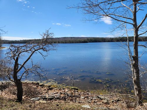 141 Gross Point Road, Orland, ME, 04472 | Card Image