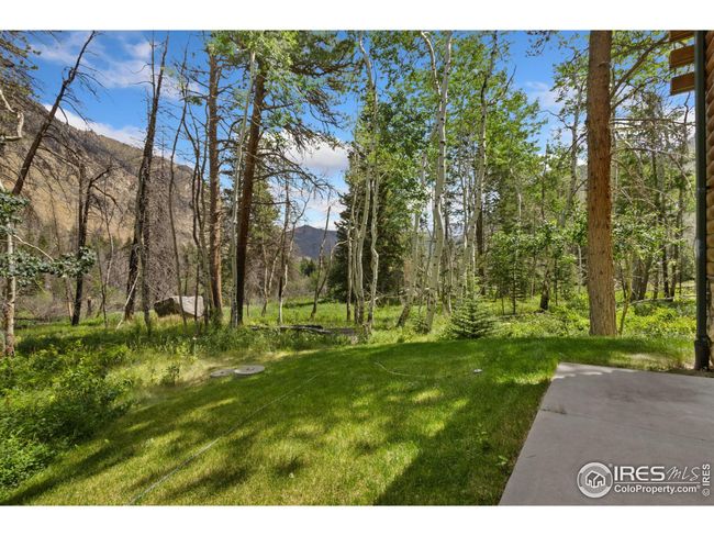 87 Shady Rest Ln, House other with 3 bedrooms, 3 bathrooms and null parking in Bellvue CO | Image 30