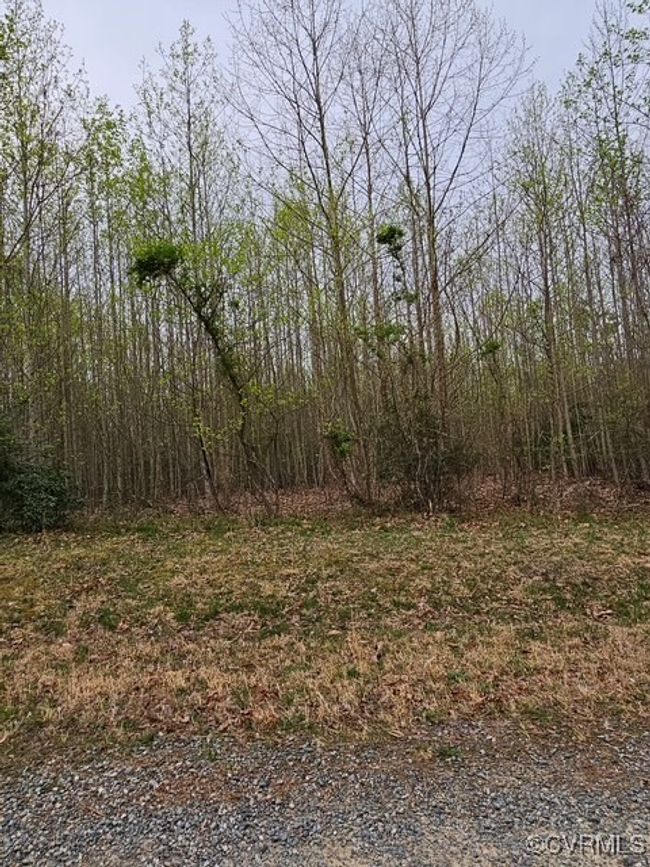 0 Ridgeview Ln, Home with 0 bedrooms, 0 bathrooms and null parking in Lancaster VA | Image 8