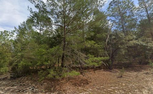 522 Janet Ave, Interlachen, FL, 32148-4656 | Card Image