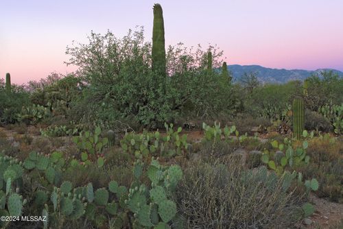 21-11876 N Vista Del Sol, Oro Valley, AZ, 85742-8788 | Card Image