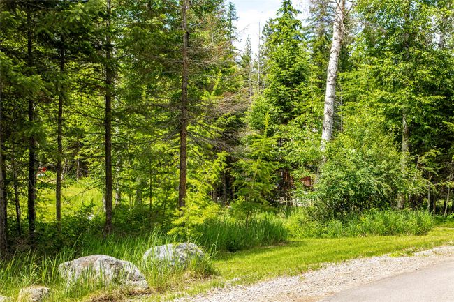 695 Latigo Ln, Home with 0 bedrooms, 0 bathrooms and null parking in Bigfork MT | Image 7
