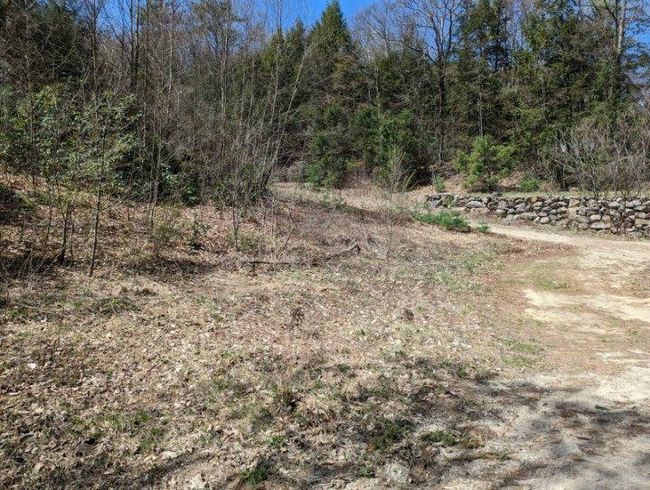30 Old Spofford Rd, Home with 0 bedrooms, 0 bathrooms and null parking in Winchester NH | Image 4