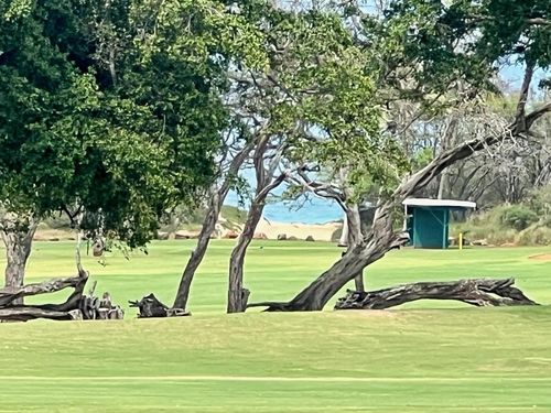 74 Ulupua Pl, Paia, HI, 96779-9750 | Card Image