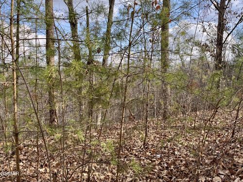 106107 Dollys Dr, Sevierville, TN, 37876 | Card Image