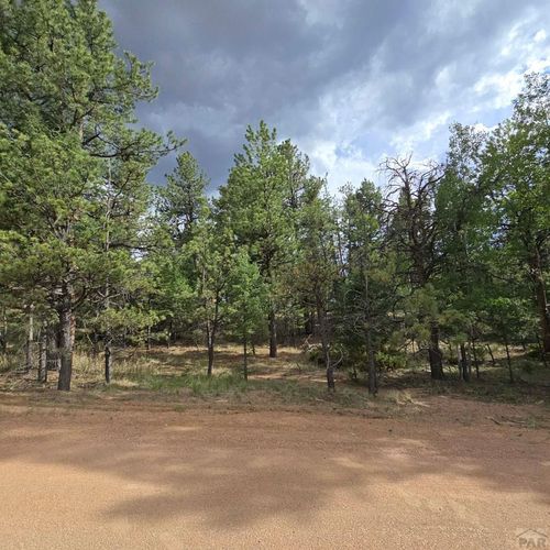 182 Wasatch Ln, Florissant, CO, 80816 | Card Image