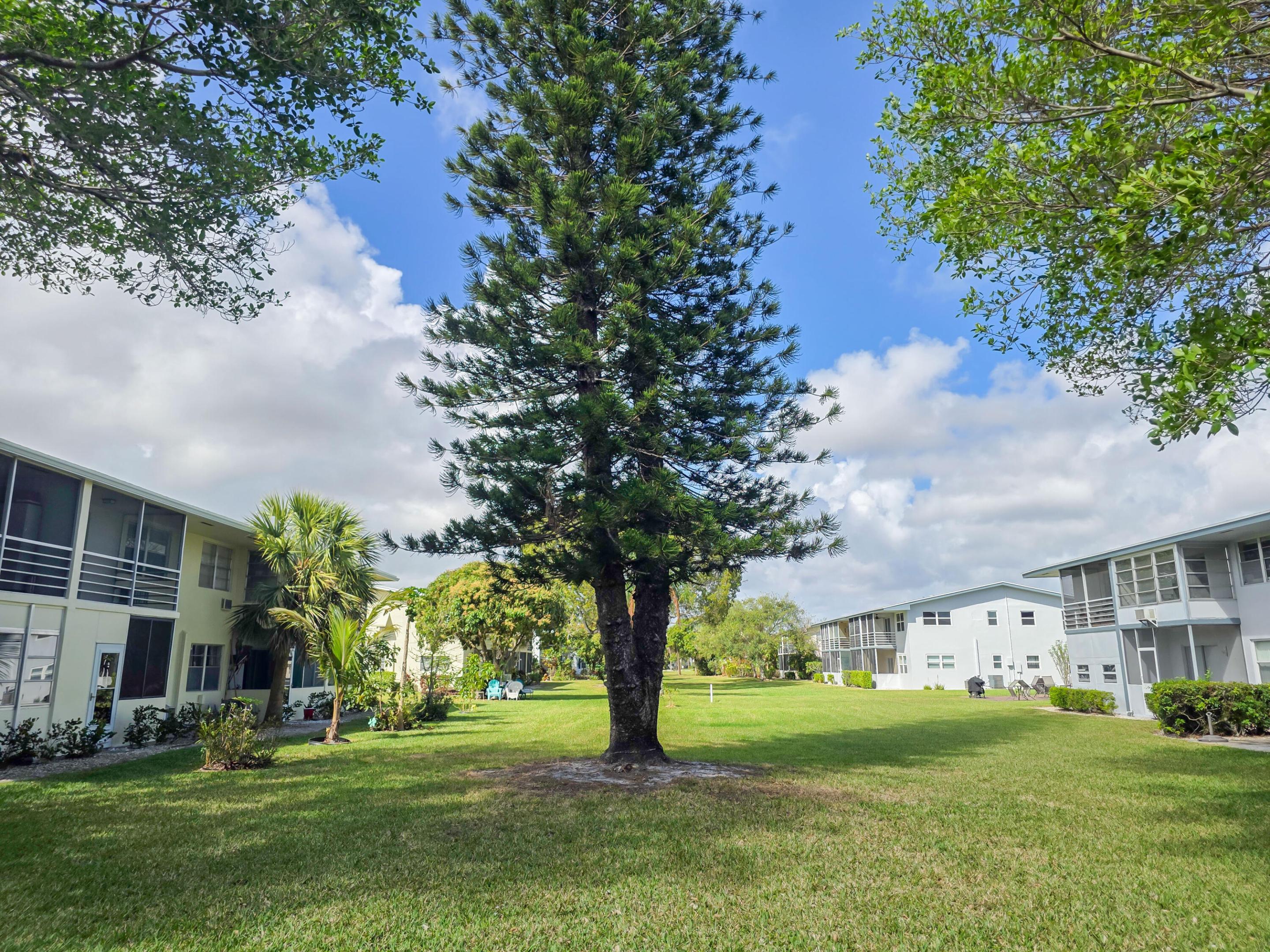 Residential in West Palm Beach 5