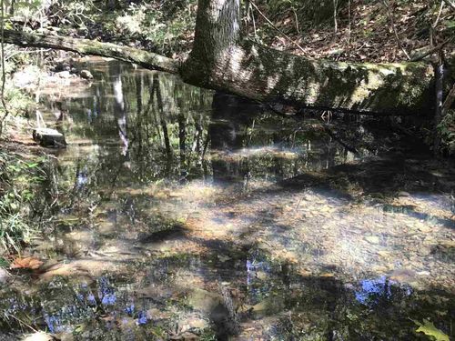 96 acres Powell Hollow Road, Williford, AR, 72482 | Card Image