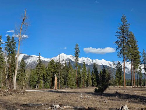 NHN Nhn Hollopeter Road, Condon, MT, 59826 | Card Image