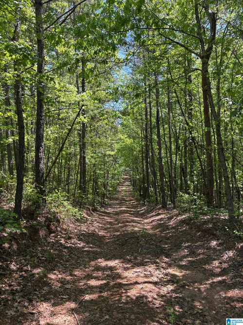 1-0 County Road 26, WADLEY, AL, 36276 | Card Image