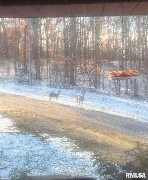 00 Maxfield Ln, Elizabethtown, IL, 62931 | Card Image