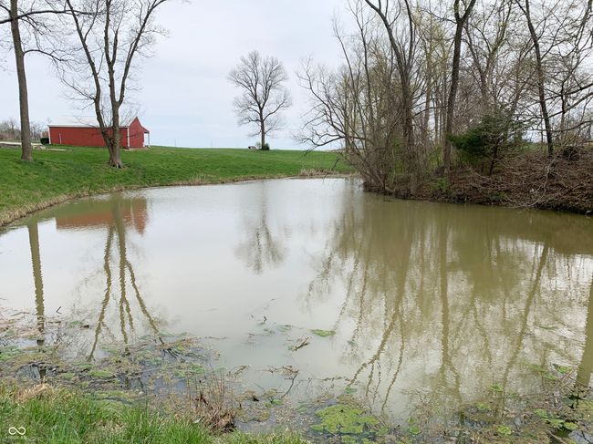 Stocked pond | Image 36