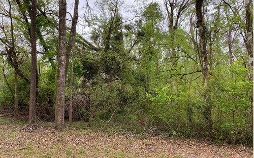 0 Sw Bumble St, FORT WHITE, FL, 32038 | Card Image