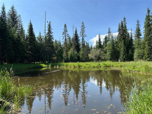 32 Whitepine Creek Rd, House other with 2 bedrooms, 2 bathrooms and null parking in Trout Creek MT | Image 72