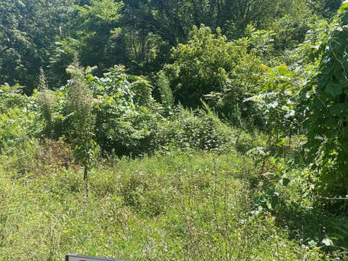 TBD Jewell Ridge Rd, Richlands, VA, 24641 | Card Image