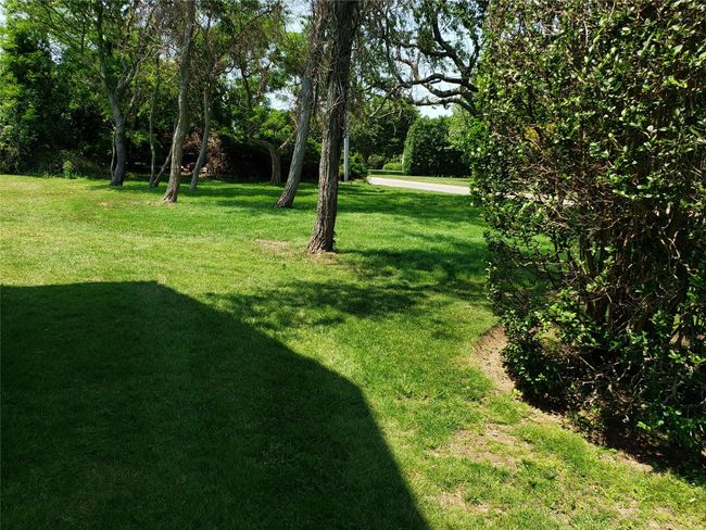View of green lawn by the beach street | Image 41