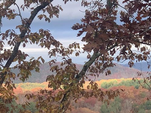 Lot 24 Grand Laurel, Brasstown, NC, 28902 | Card Image