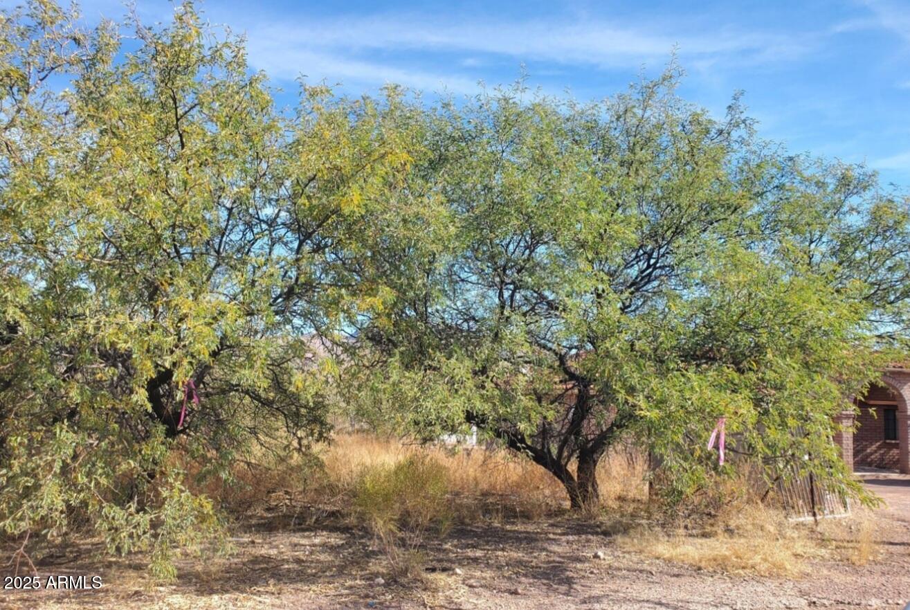 Land in Rio Rico